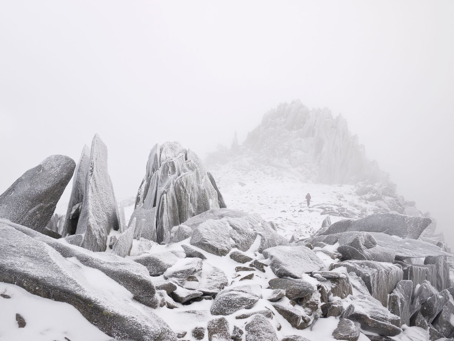 Castell y Gwynt, Glyder Fach, Eryri (Snowdonia)