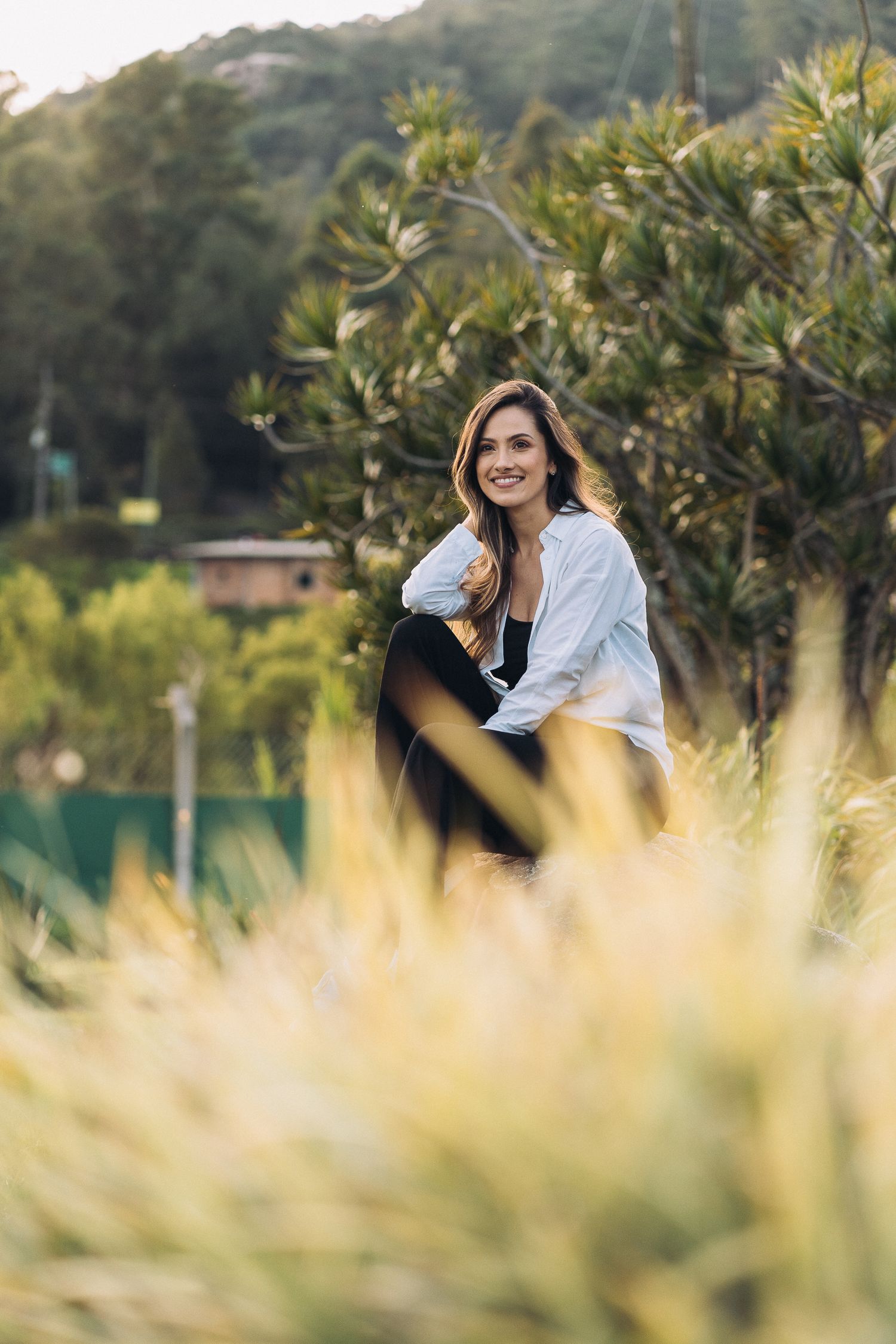 Artistic outdoor photography with golden grass in foreground and green foliage behind.