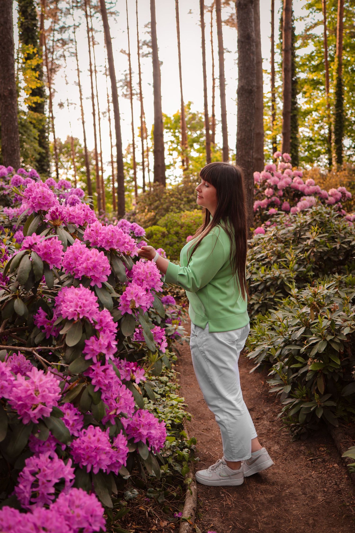 a girl with long hair walks through the Vilnius Botanical Garden in the evening. Surrounded by pink rhododendrons