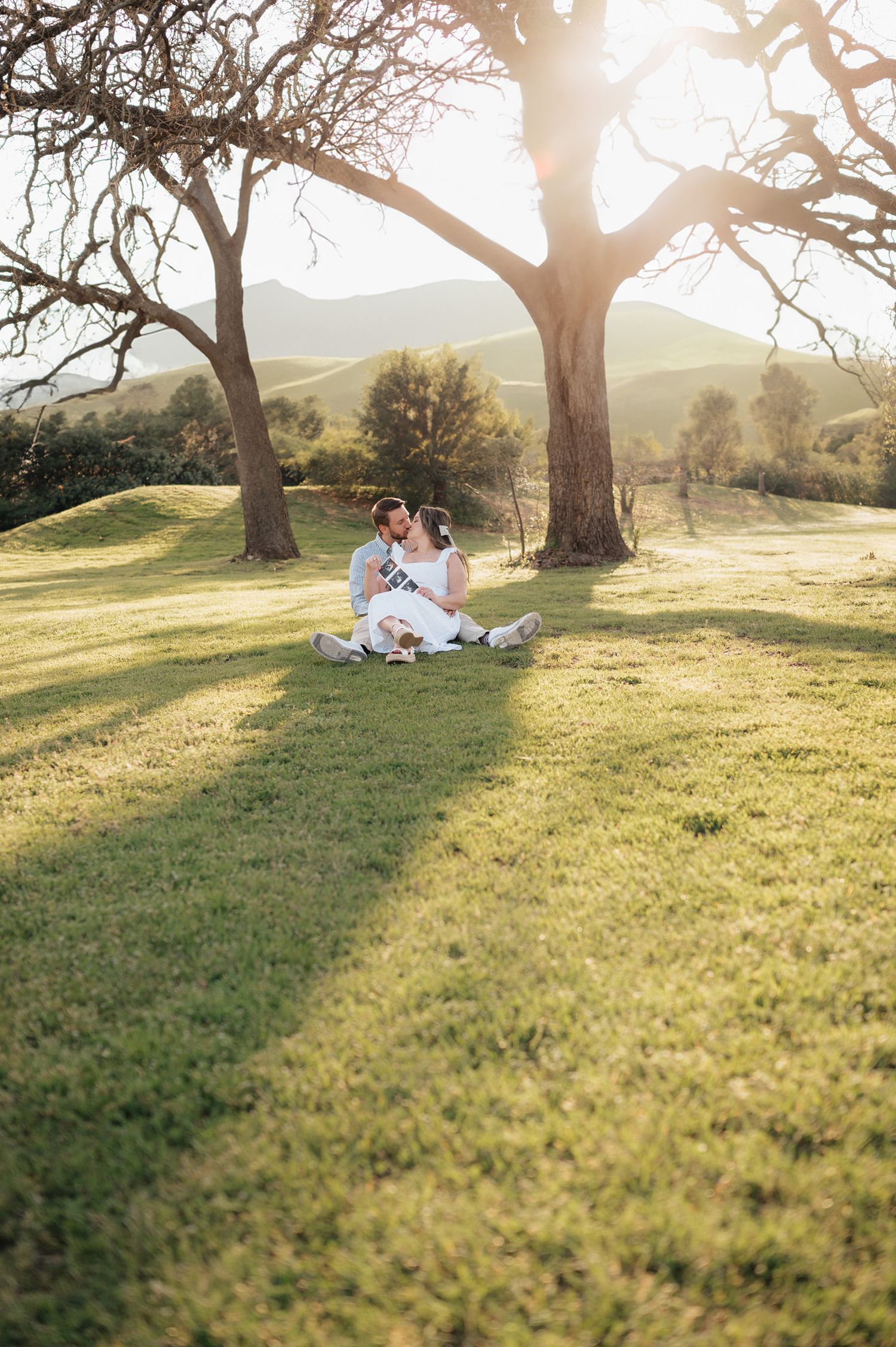 A romantic picnic scene under large trees in a sunny meadow with rolling hills.