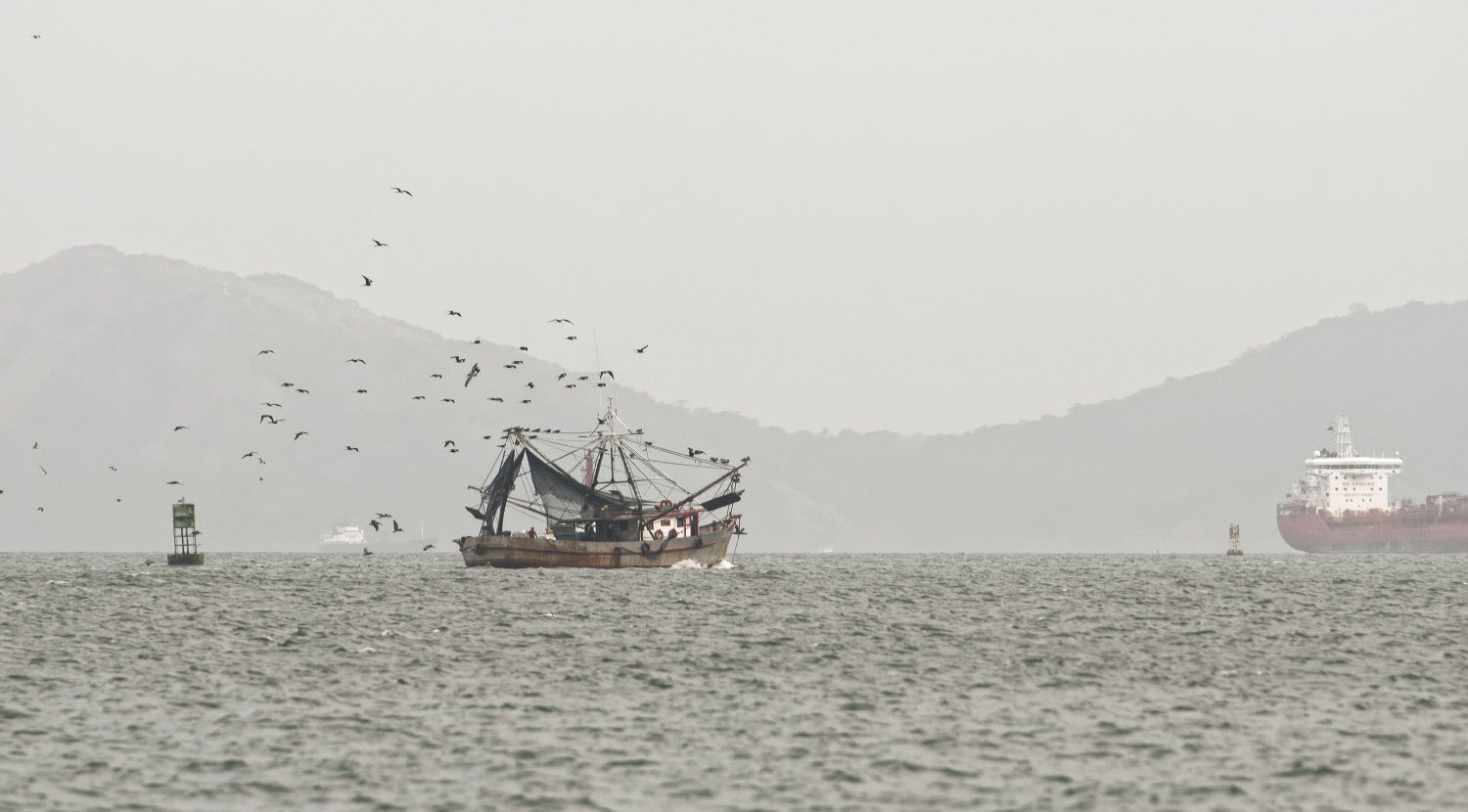 Fishing trawler surrounded by seabirds in misty harbor with mountains in background.