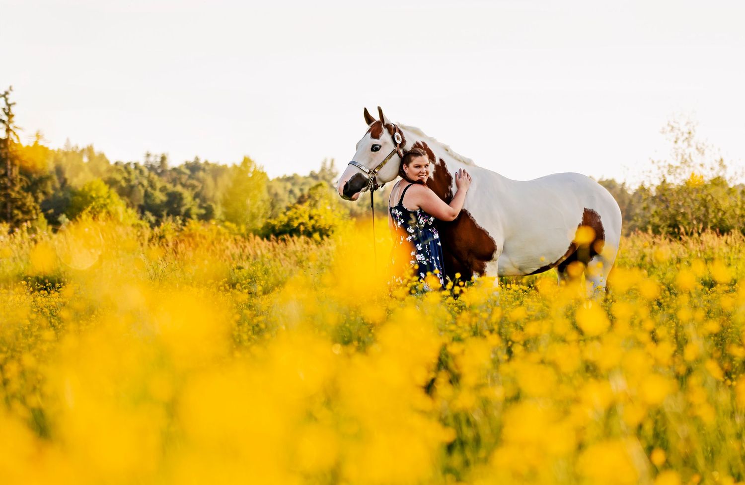 AE Equine Photography offers beautiful horse photography throughout the Fraser Valley. AQHA photo. Western lifestyle photo.