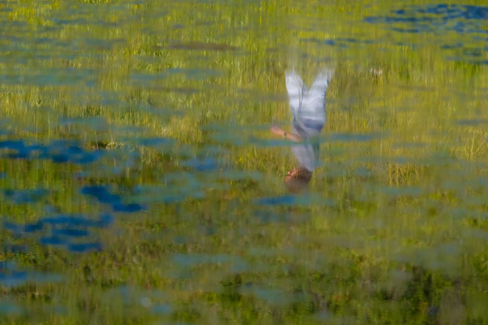 Tree and person abstract water reflections