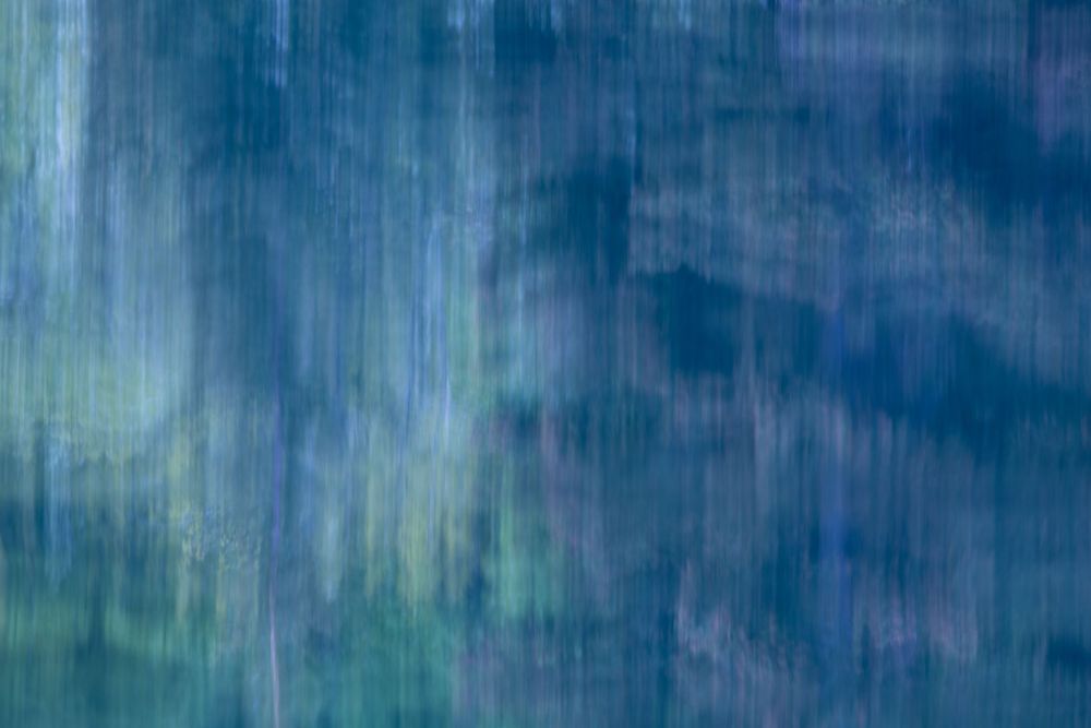 Abstract from movement in an Alberta Lake