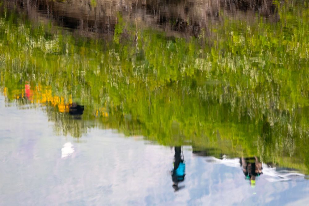 A blurry reflection of ducks swimming in water surrounded by green vegetation.