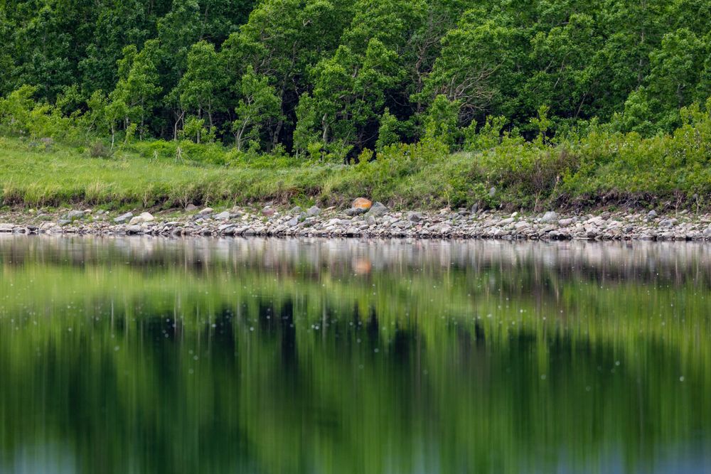 Reflections in a Southern Alberta lake