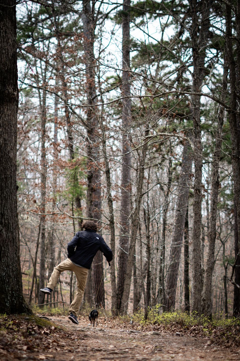 Silhouette of person jumping high on forest trail surrounded by tall pine trees.
