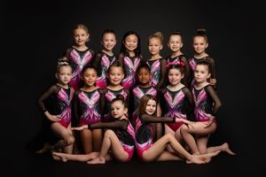 Gymnastics team members pose together in pink and black leotards against dark background for team photo.