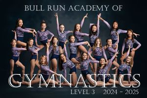 Gymnastics team members strike dynamic poses in a collage banner featuring the Bull Run Academy of Gymnastics logo.