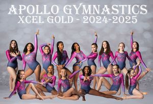 Apollo Gymnastics Xcel Gold team members pose in matching purple and navy leotards for their 2024-2025 team photo.