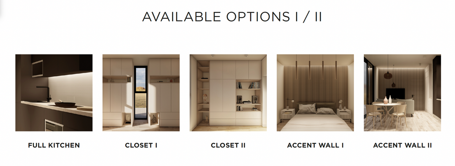 Interior design options showcase featuring kitchen, closet, and accent wall variations for home customization.