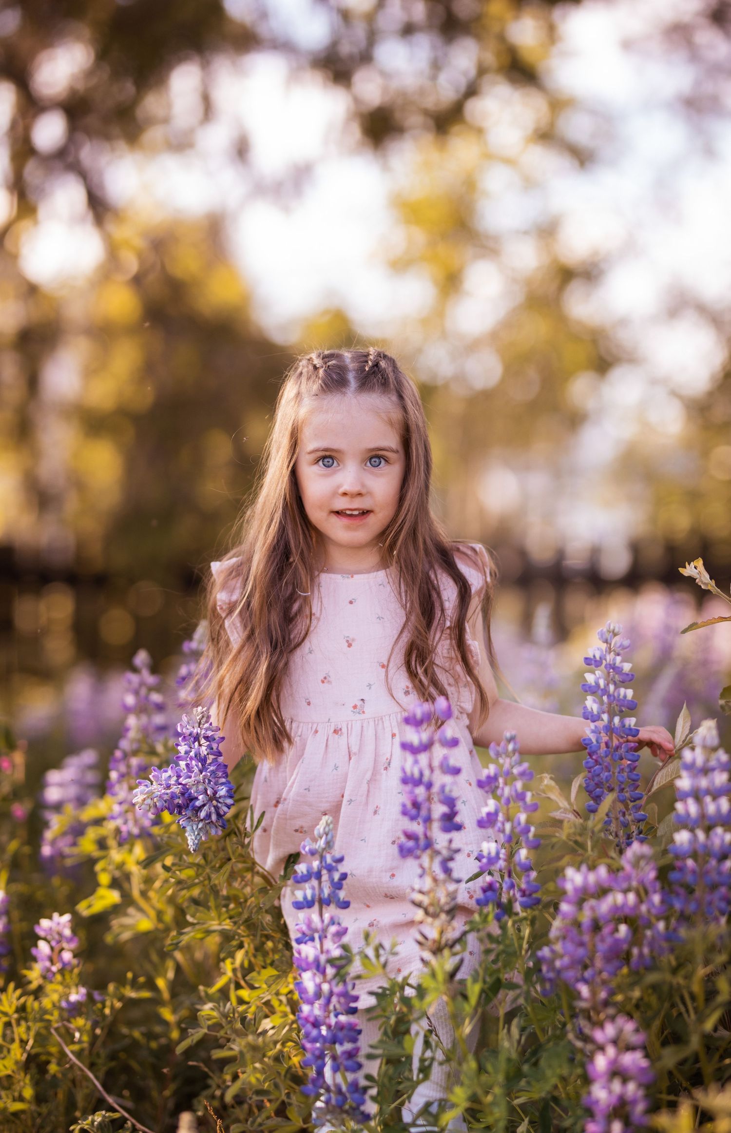 Familjefotografering Gällivare Fotograf Norrbotten