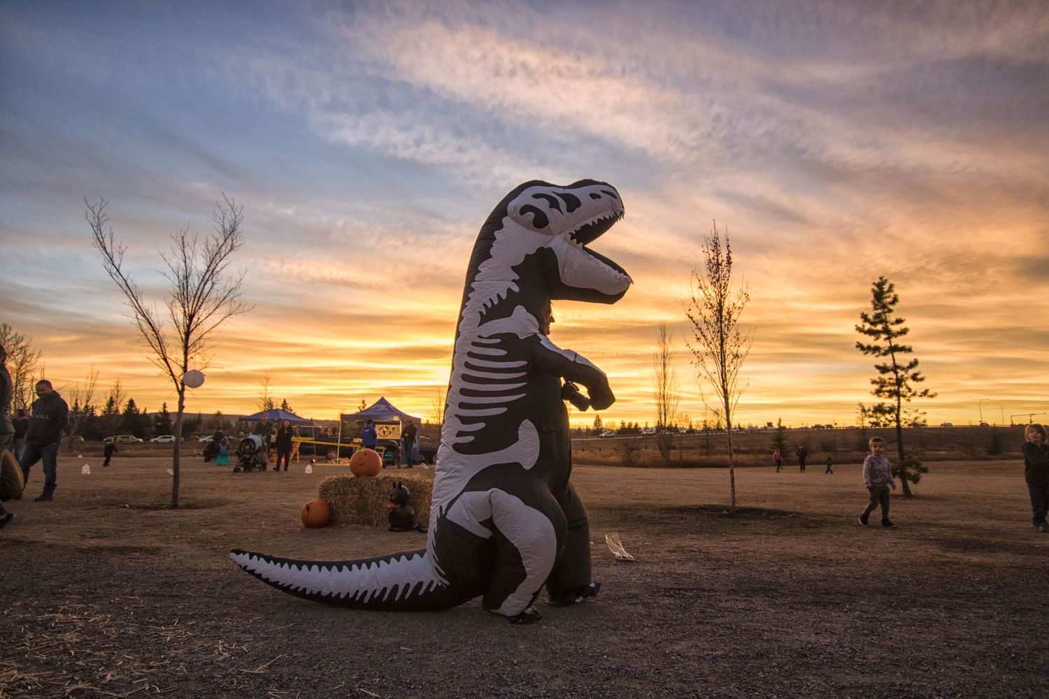 Person in inflatable T-rex dinosaur skeleton costume at outdoor Halloween event during sunset.