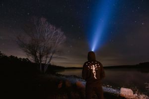 Blue flashlight beam illuminates night sky beside bare tree at lakeside.