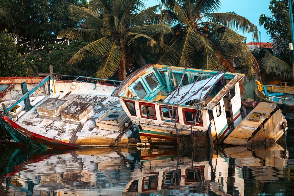 Damaged and abandoned boats partially submerged in tropical waters with palm trees.