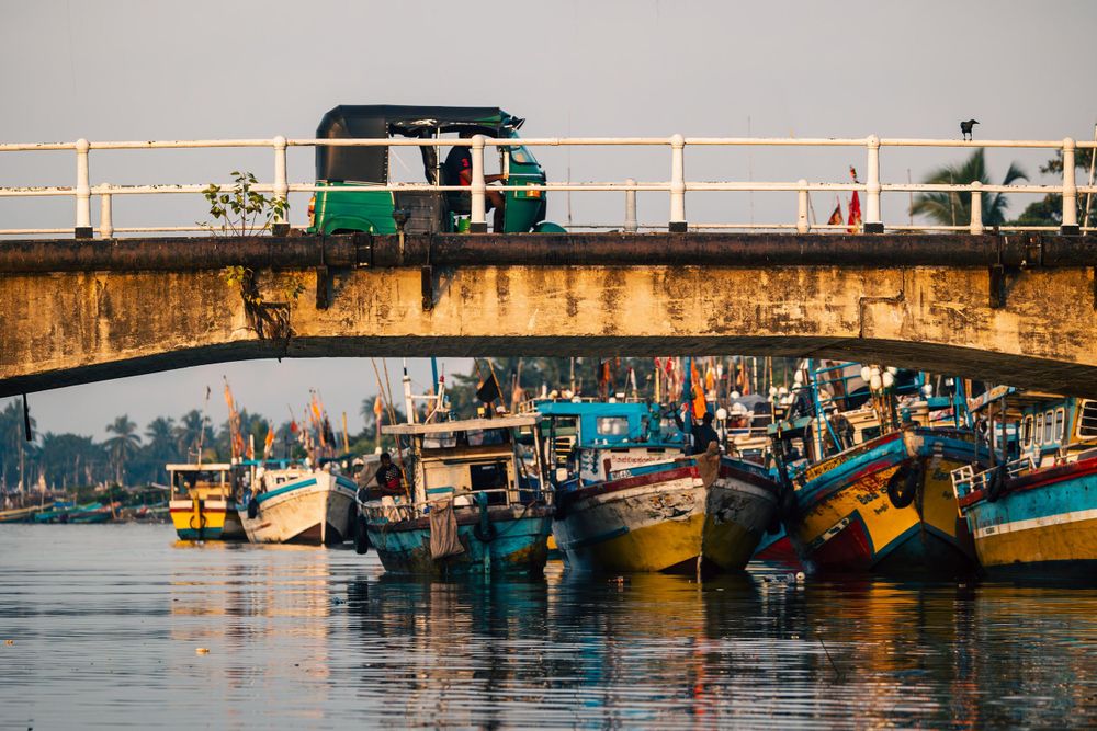 Colorful fishing boats docked under a bridge in an urban harbor.