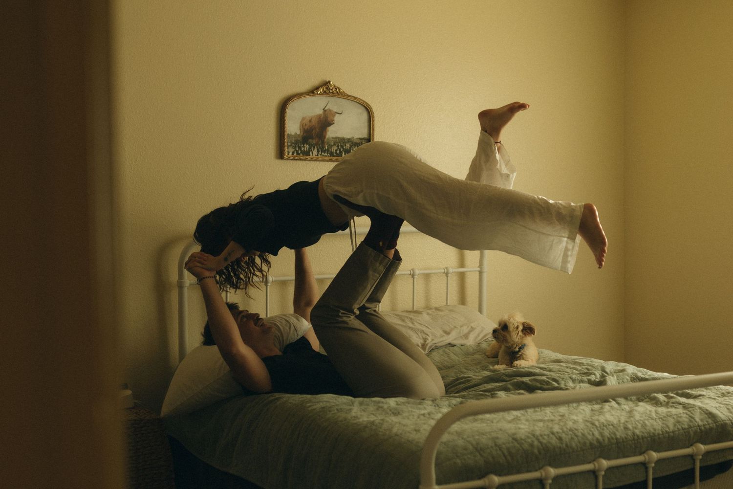 Playful lifestyle photo session on a bed with dramatic lighting and movement. In home couple session Documentary photographer