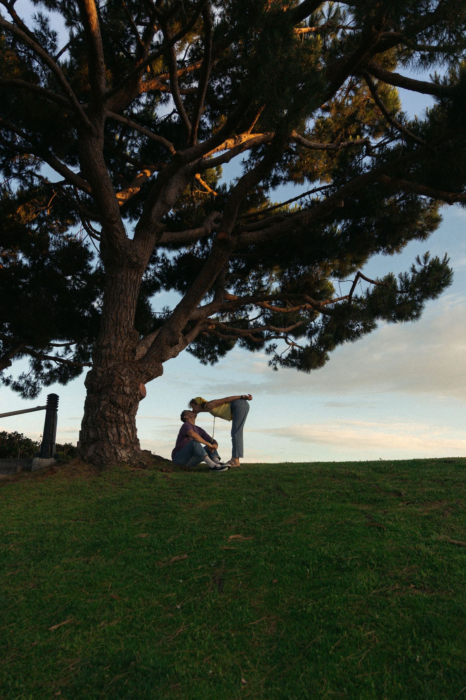 A silhouette sits beneath a large pine tree on a grassy hill during sunset, creating a peaceful scene against the sky.