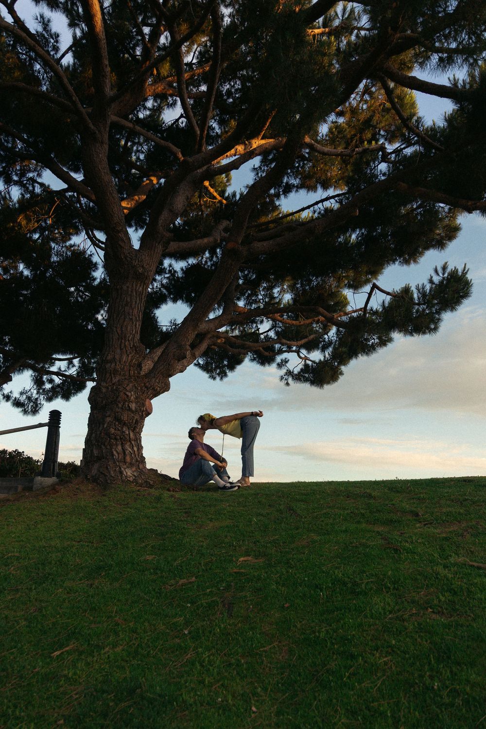 A silhouette sits beneath a large pine tree on a grassy hill during sunset, creating a peaceful scene against the sky.
