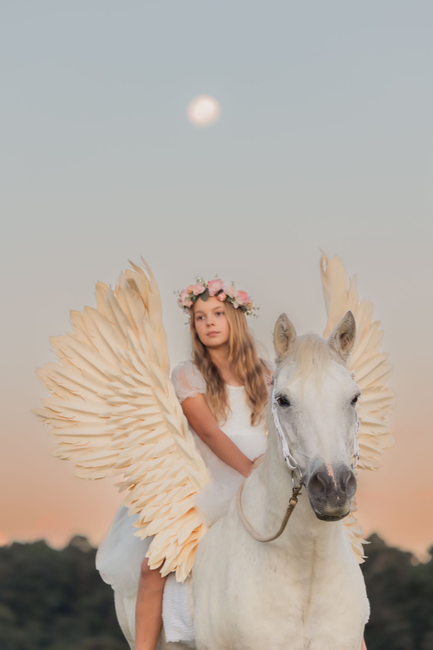 Dreamy portrait of a white horse wearing feathered wings and floral crown against a pastel sky.