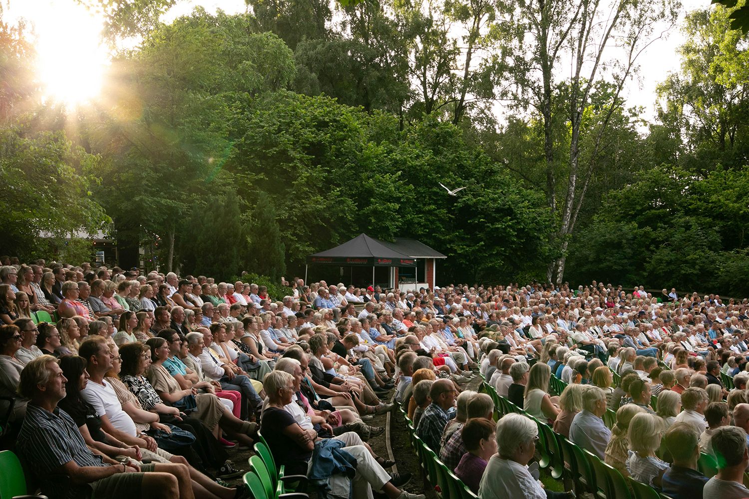 Musikalkväll på Vallarnas Friluftsteater i Falkenberg med Peter Johansson och Emmi Christensson. Fotograf Rebecca Nordin.