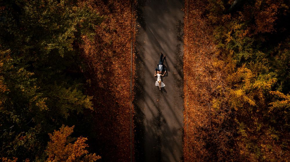 Aerial drone shot of person walking on path between orange autumn trees.