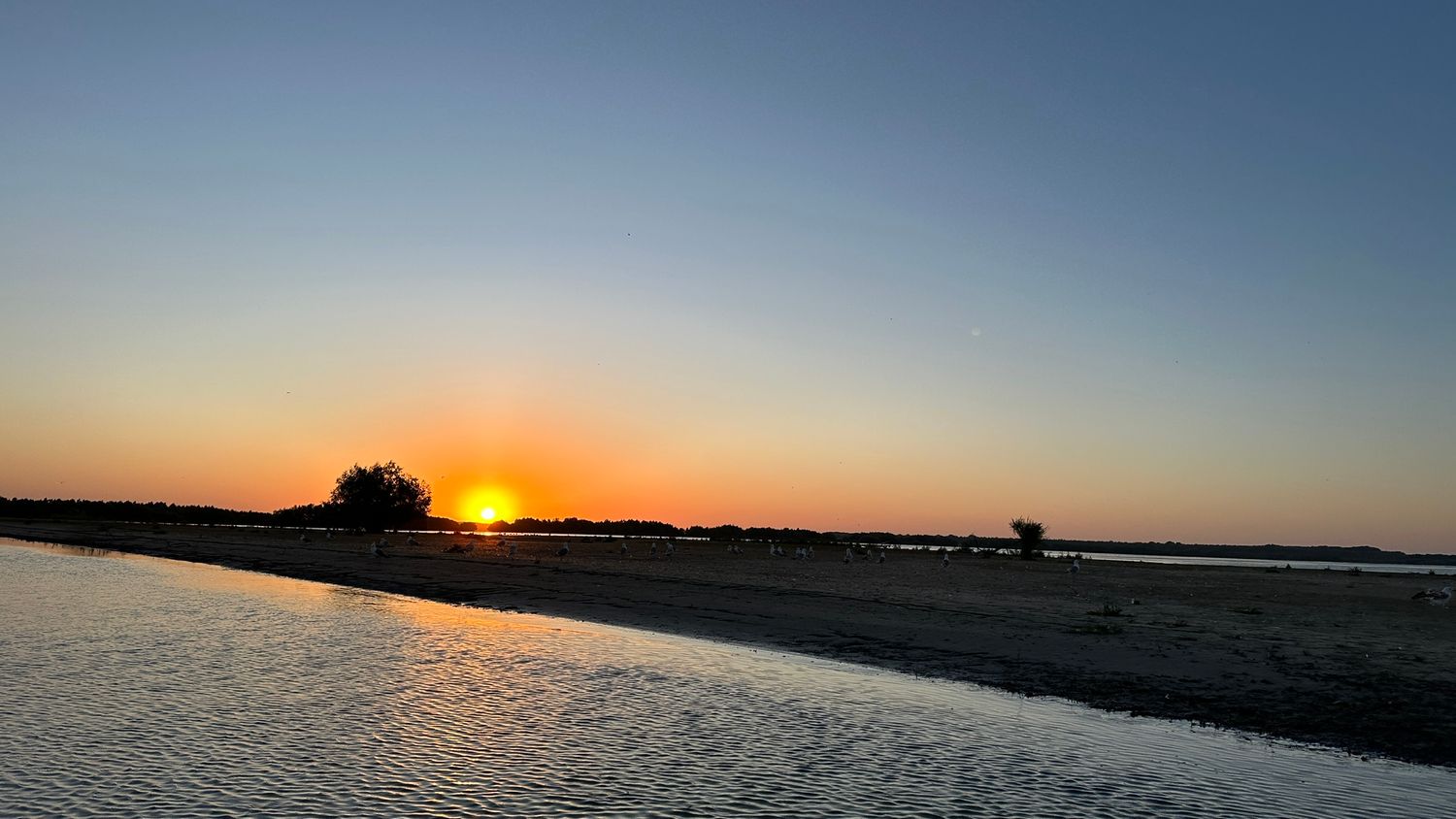 Golden sunset over a tranquil waterfront with silhouetted trees on the horizon.