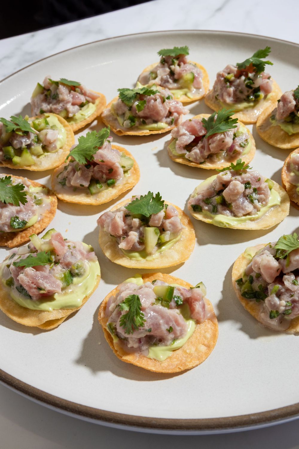 Fresh tuna tartare appetizers served on crispy tortilla rounds with cilantro and diced vegetables.