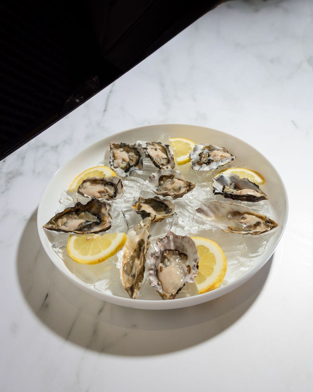 Fresh raw oysters arranged on a white plate with ice and lemon slices on a marble surface.