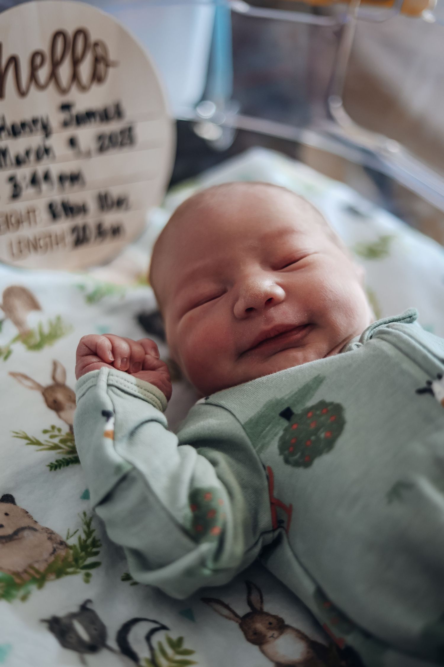 Newborn baby sleeping peacefully in mint green onesie with woodland animal print. Example of fresh 48 photography