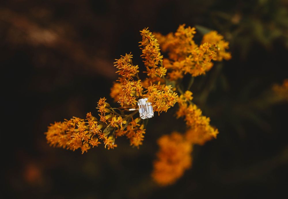 floral details, ring photos