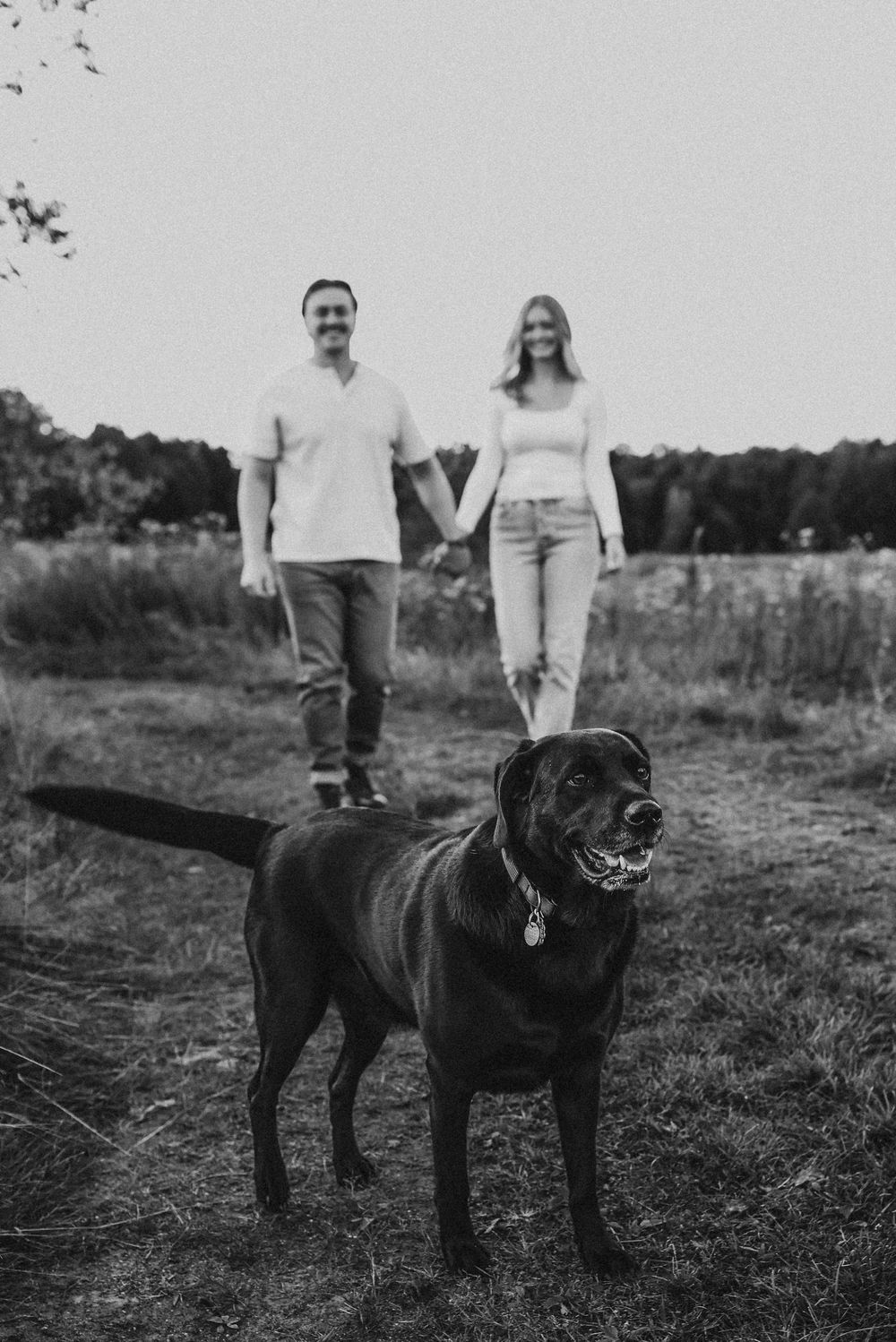 Dog photos, Smethport, PA