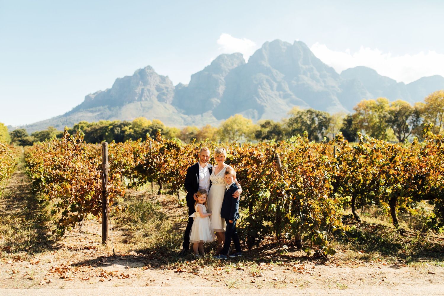 A scenic vineyard with grapevines in autumn colors against dramatic mountain peaks in the background.