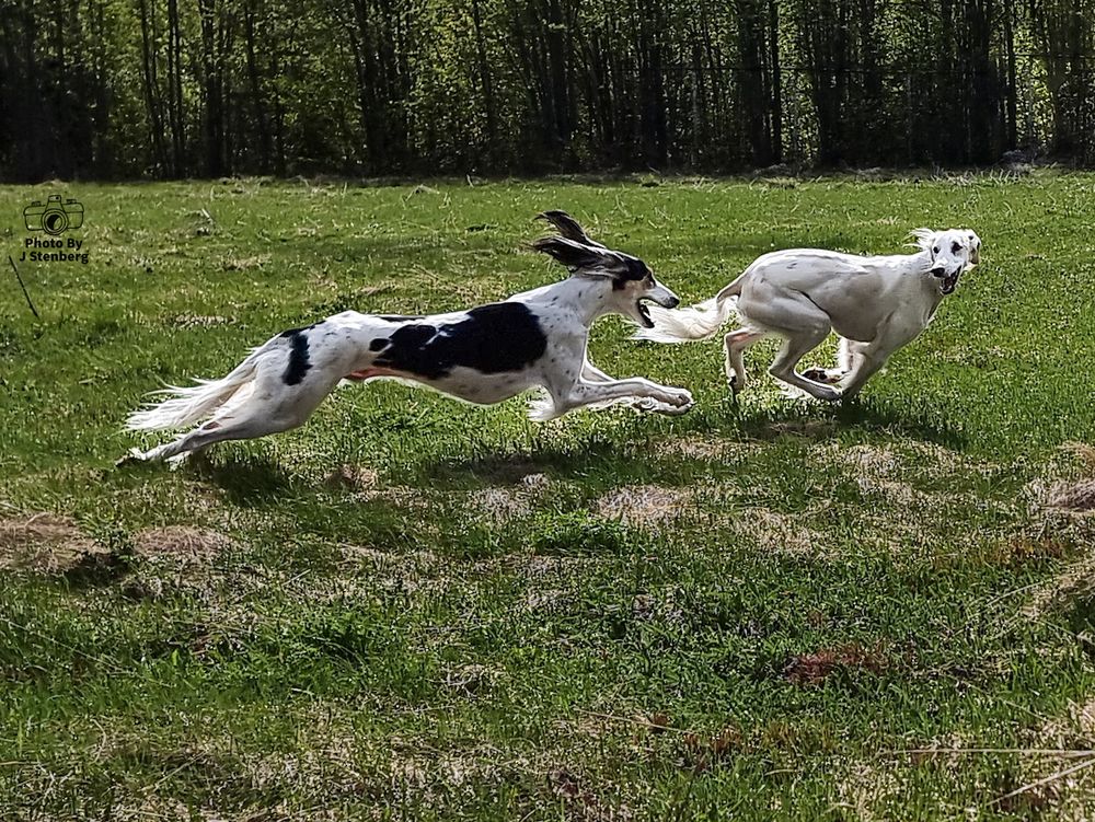 Photo By J Stenberg