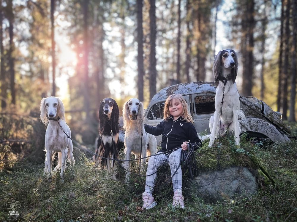 Photo By J Stenberg