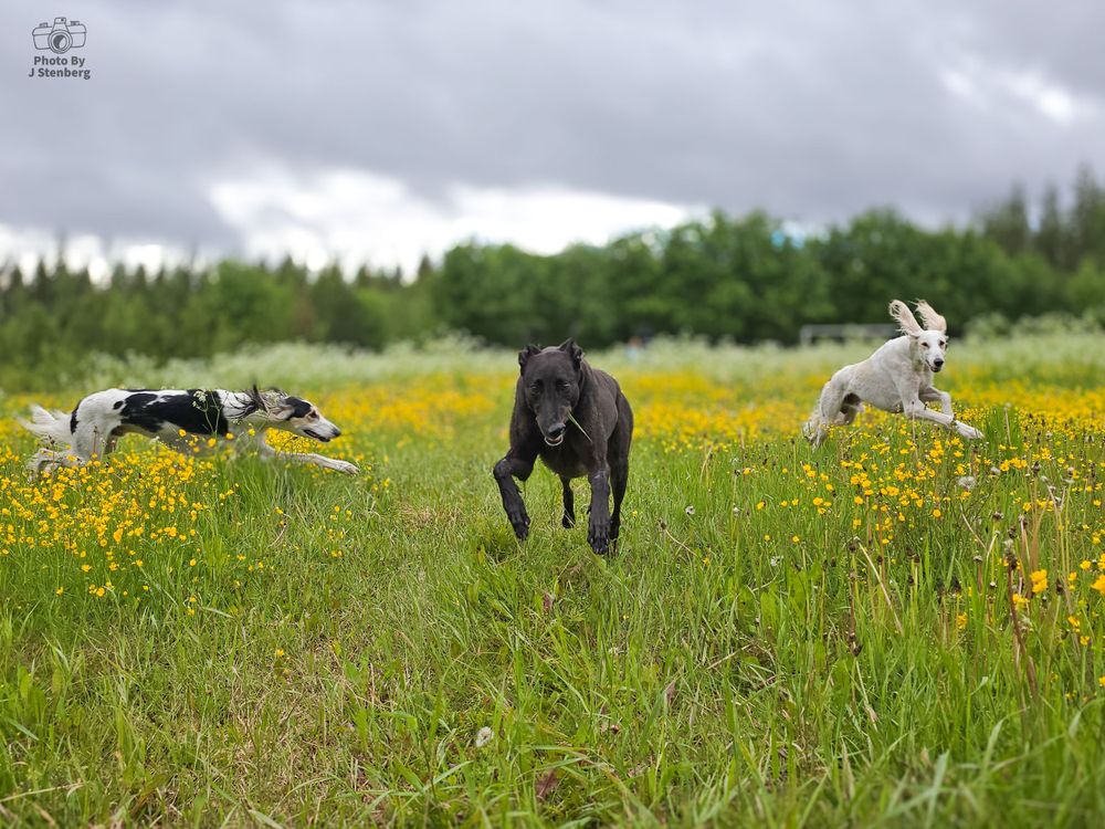 Photo By J Stenberg