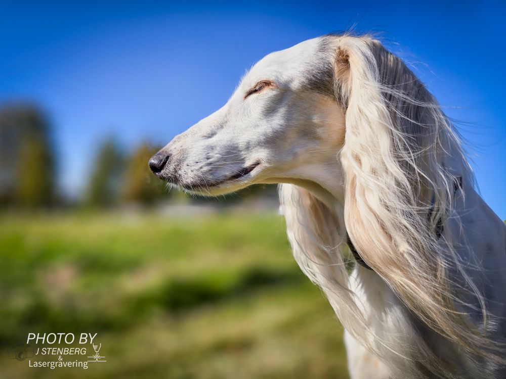 Photo By J Stenberg