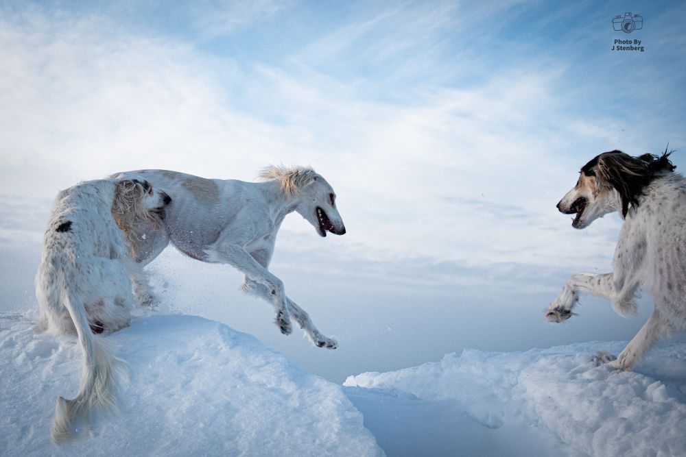 Photo By J Stenberg