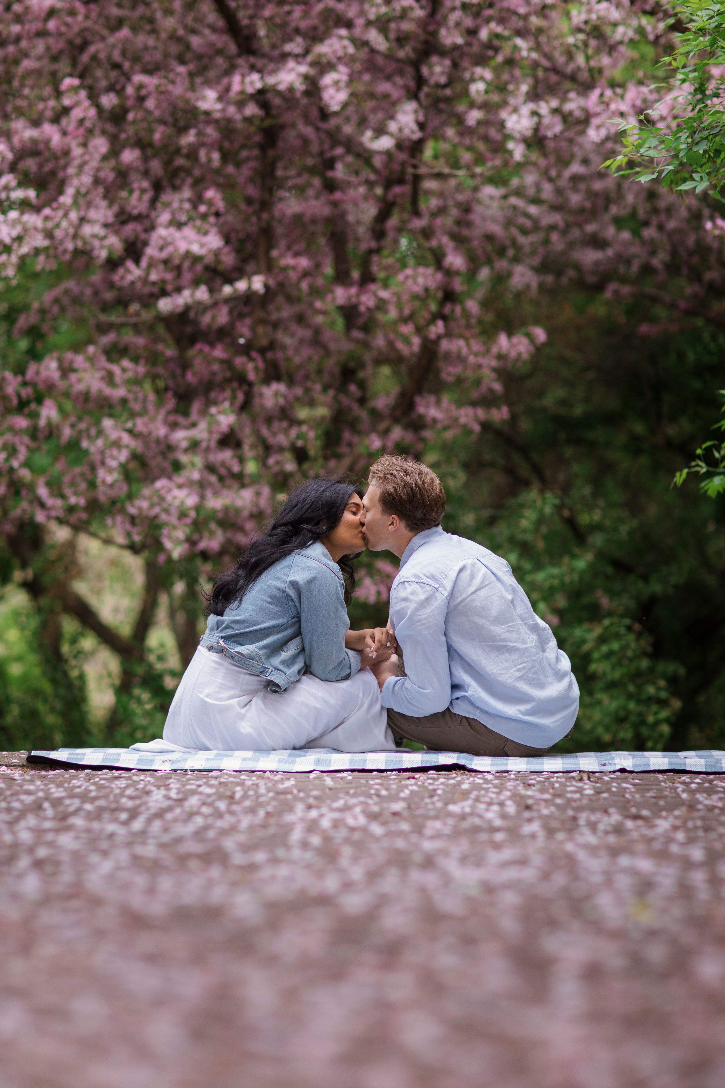 Two people share a romantic moment on a bench beneath blooming pink cherry blossom trees in springtime.