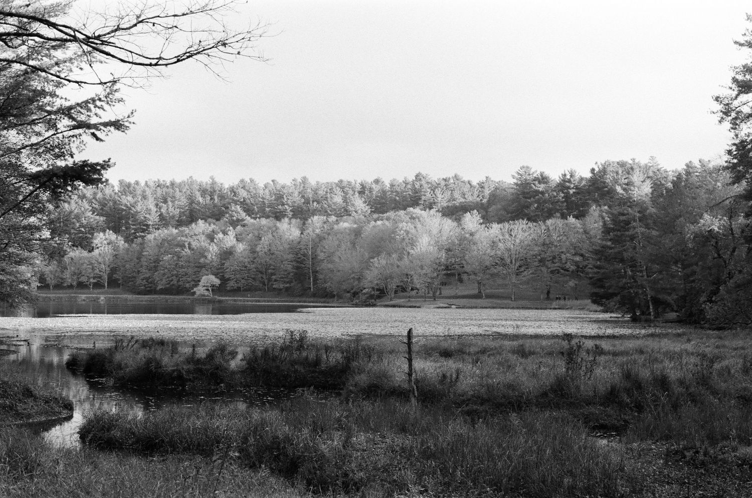 A serene wetland landscape with a winding stream surrounded by autumn trees and rolling hills.