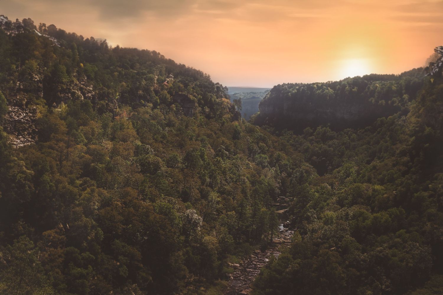 Sunset view through forested valley with golden light illuminating mountain ridges.