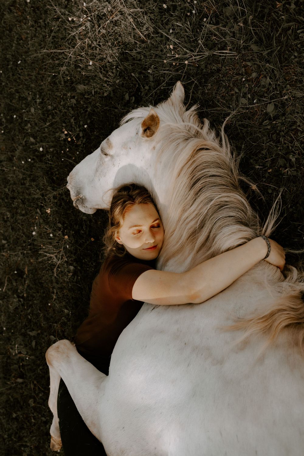 A white horse laying down with someone embracing it while resting on ground.
