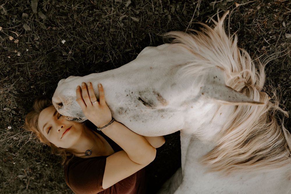White horse lying on the ground in an artistic pose with flowing mane.