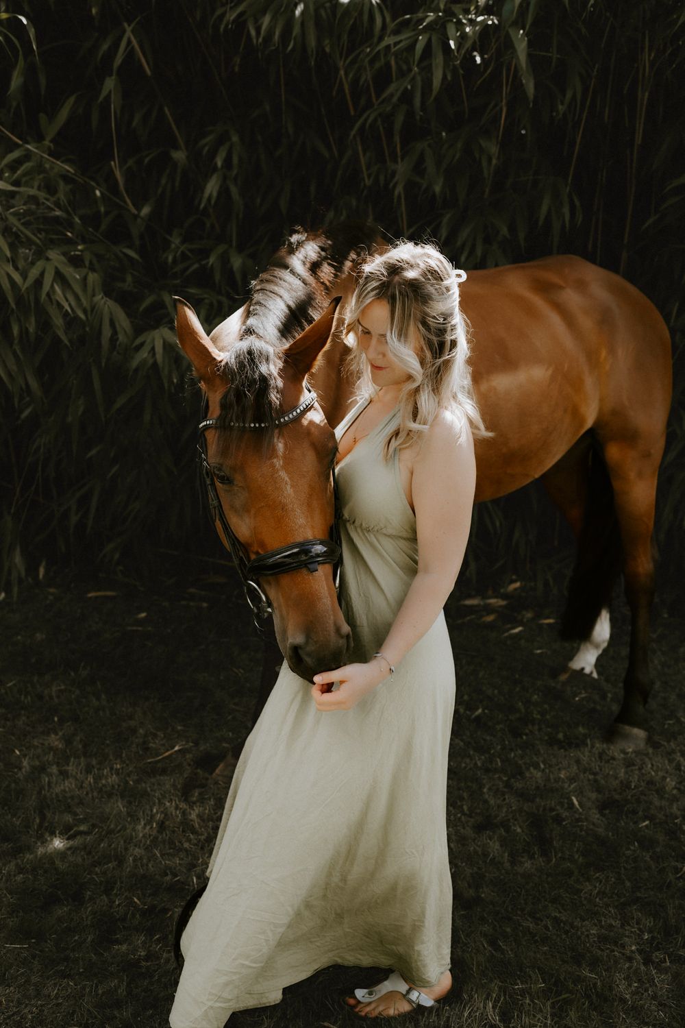 Person in flowing white dress embracing chestnut horse in front of bamboo grove.