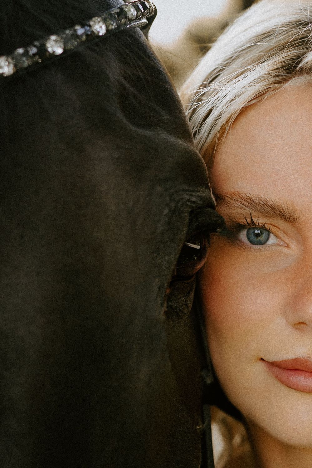 Artistic portrait showing close connection between person and dark horse with decorative bridle.
