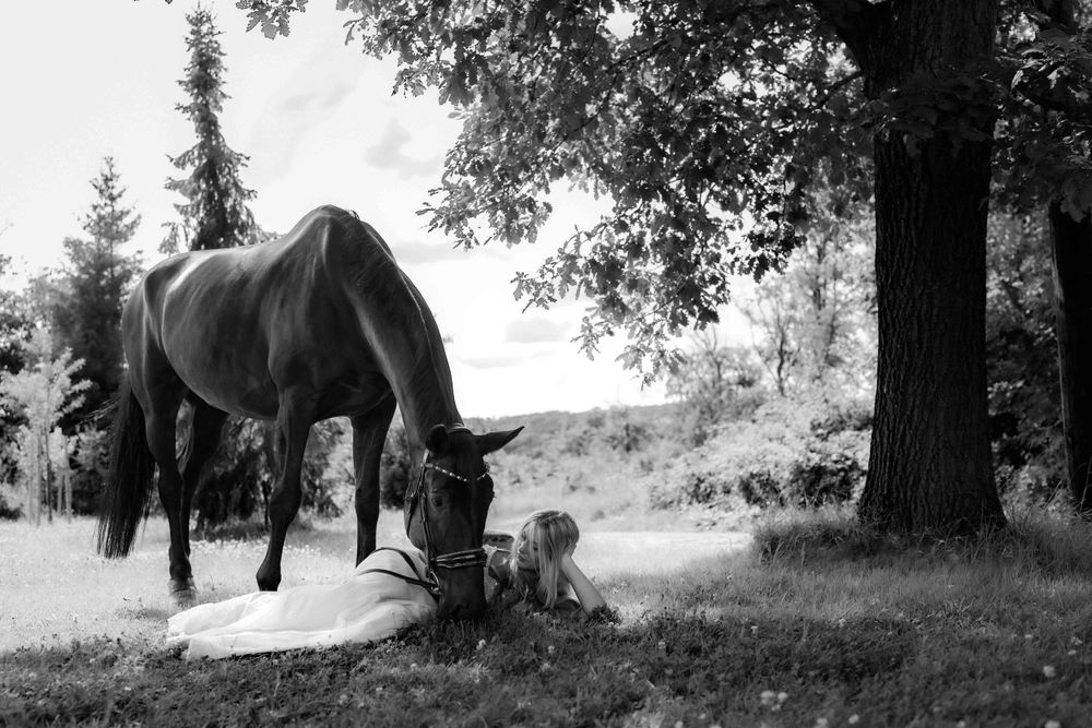Black and white photograph of horse grazing peacefully under large tree.