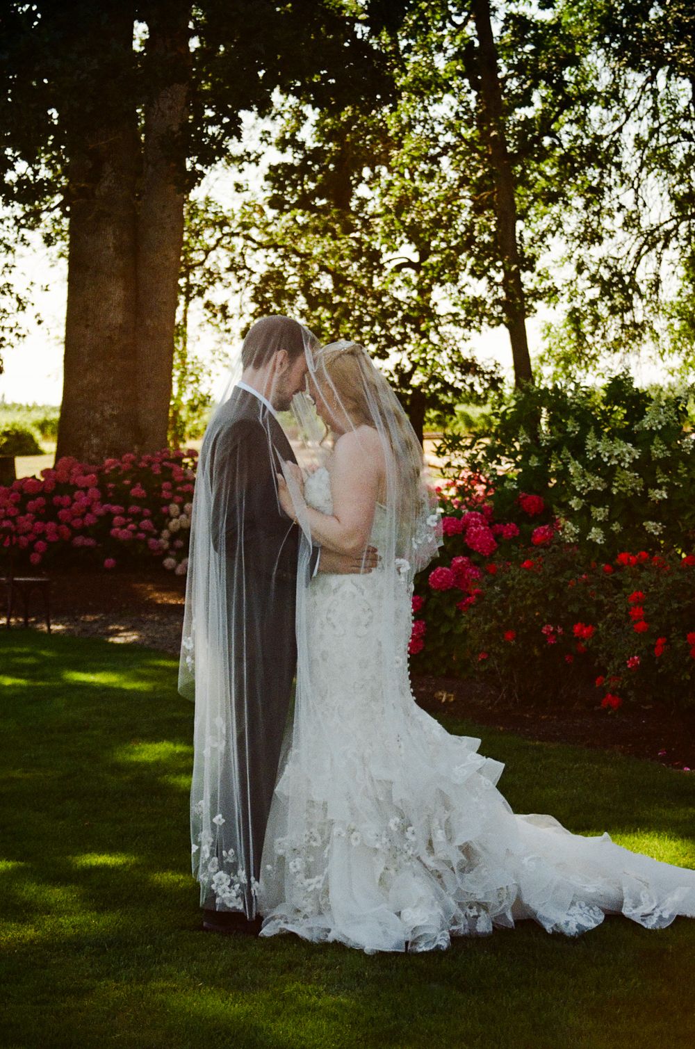 Bride and groom share romantic moment under veil surrounded by blooming roses and trees in lush garden wedding setting.