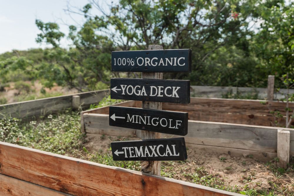 Rustic wooden directional sign pointing to organic yoga deck, minigolf, and temazcal activities.