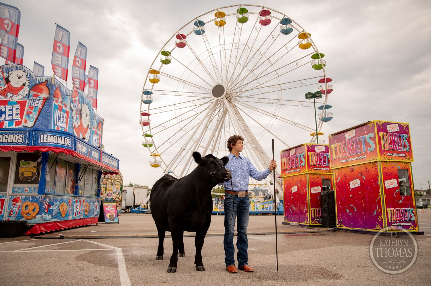 A black show cow and handler pose in front of a ferris wheel and carnival stands at a fairground.
