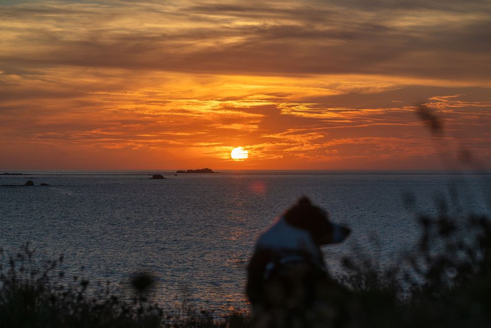 A silhouetted figure watches a dramatic orange sunset over calm ocean waters with boats visible on the horizon.